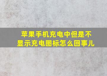 苹果手机充电中但是不显示充电图标怎么回事儿