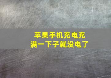 苹果手机充电充满一下子就没电了