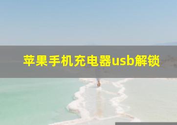 苹果手机充电器usb解锁