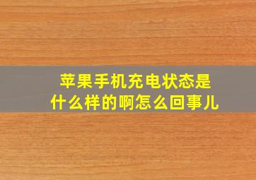 苹果手机充电状态是什么样的啊怎么回事儿