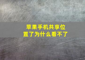 苹果手机共享位置了为什么看不了