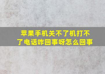 苹果手机关不了机打不了电话咋回事呀怎么回事