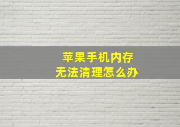 苹果手机内存无法清理怎么办