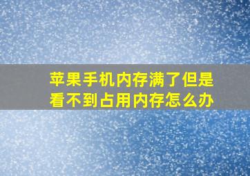 苹果手机内存满了但是看不到占用内存怎么办