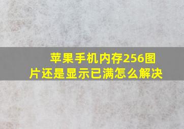 苹果手机内存256图片还是显示已满怎么解决