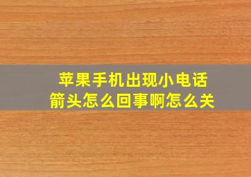 苹果手机出现小电话箭头怎么回事啊怎么关