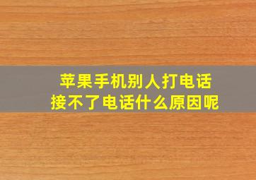 苹果手机别人打电话接不了电话什么原因呢