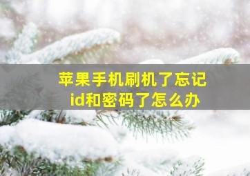 苹果手机刷机了忘记id和密码了怎么办