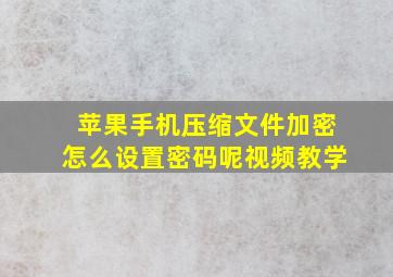 苹果手机压缩文件加密怎么设置密码呢视频教学