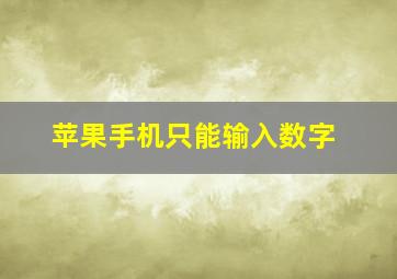 苹果手机只能输入数字