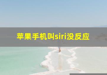 苹果手机叫siri没反应