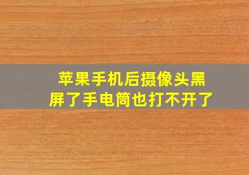 苹果手机后摄像头黑屏了手电筒也打不开了