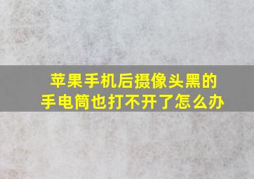 苹果手机后摄像头黑的手电筒也打不开了怎么办