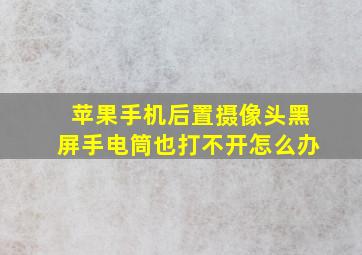 苹果手机后置摄像头黑屏手电筒也打不开怎么办