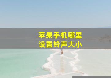 苹果手机哪里设置铃声大小