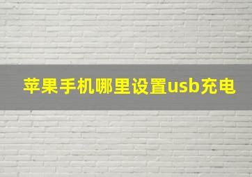 苹果手机哪里设置usb充电