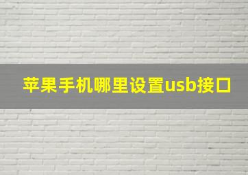 苹果手机哪里设置usb接口