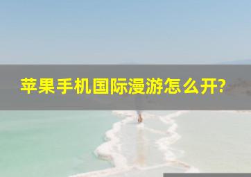 苹果手机国际漫游怎么开?