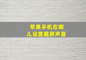 苹果手机在哪儿设置截屏声音