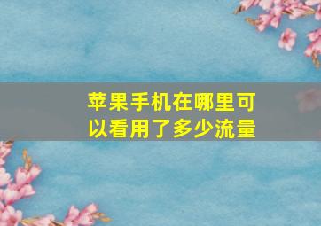 苹果手机在哪里可以看用了多少流量