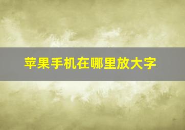 苹果手机在哪里放大字