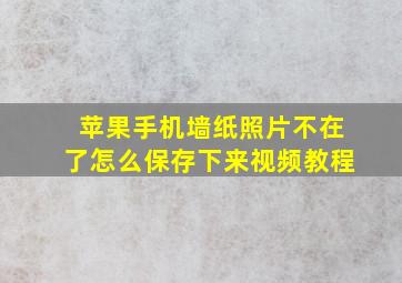 苹果手机墙纸照片不在了怎么保存下来视频教程