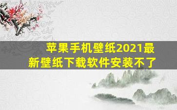 苹果手机壁纸2021最新壁纸下载软件安装不了