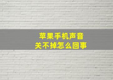 苹果手机声音关不掉怎么回事