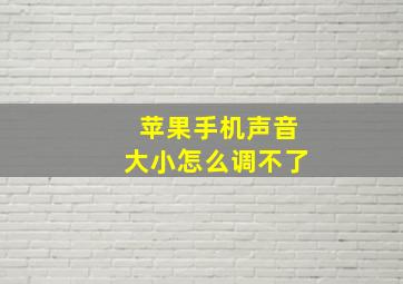 苹果手机声音大小怎么调不了