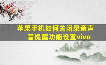 苹果手机如何关闭录音声音提醒功能设置vivo