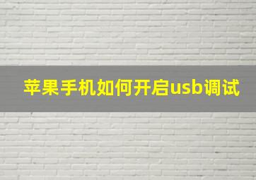 苹果手机如何开启usb调试