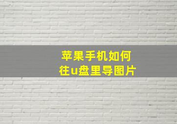 苹果手机如何往u盘里导图片