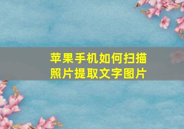 苹果手机如何扫描照片提取文字图片