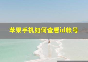 苹果手机如何查看id帐号