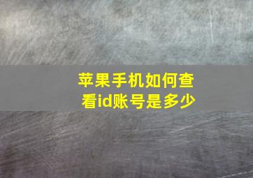 苹果手机如何查看id账号是多少