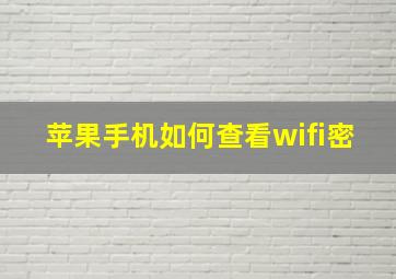 苹果手机如何查看wifi密