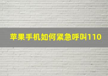 苹果手机如何紧急呼叫110