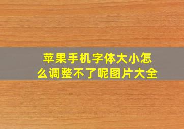 苹果手机字体大小怎么调整不了呢图片大全