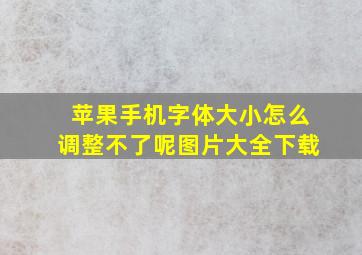 苹果手机字体大小怎么调整不了呢图片大全下载