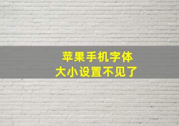 苹果手机字体大小设置不见了