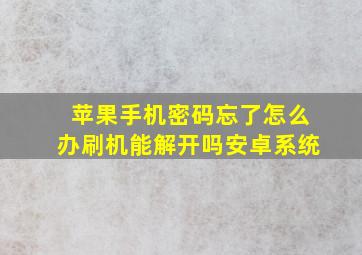 苹果手机密码忘了怎么办刷机能解开吗安卓系统