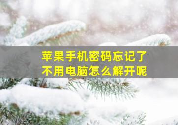 苹果手机密码忘记了不用电脑怎么解开呢