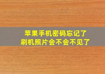 苹果手机密码忘记了刷机照片会不会不见了