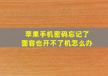 苹果手机密码忘记了面容也开不了机怎么办