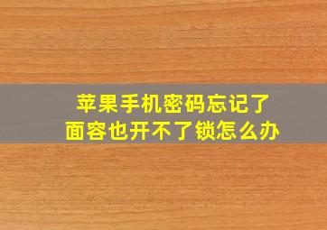 苹果手机密码忘记了面容也开不了锁怎么办