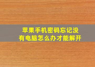 苹果手机密码忘记没有电脑怎么办才能解开