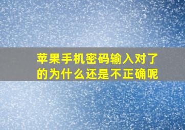 苹果手机密码输入对了的为什么还是不正确呢