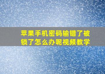 苹果手机密码输错了被锁了怎么办呢视频教学