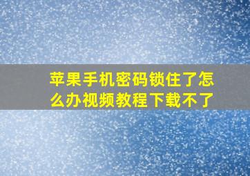 苹果手机密码锁住了怎么办视频教程下载不了