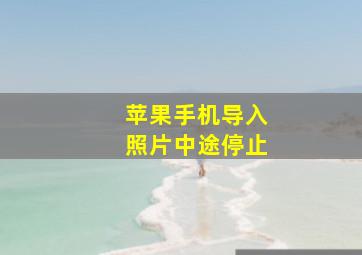 苹果手机导入照片中途停止